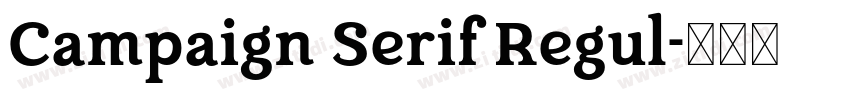 Campaign Serif Regul字体转换